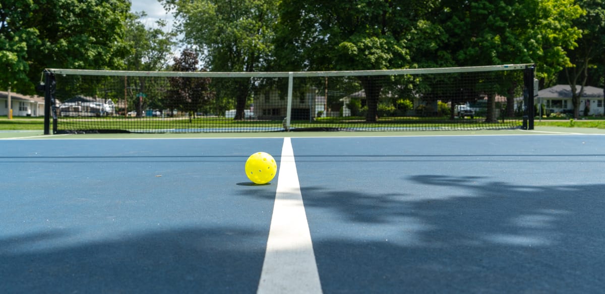 Pickleball Lawsuits: Every Time You Pick Up a Paddle, You Might Be Stepping Into a Legal Minefield