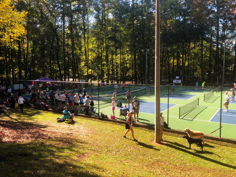 Best Places to Play Pickleball in Atlanta Courts, Times, Everything