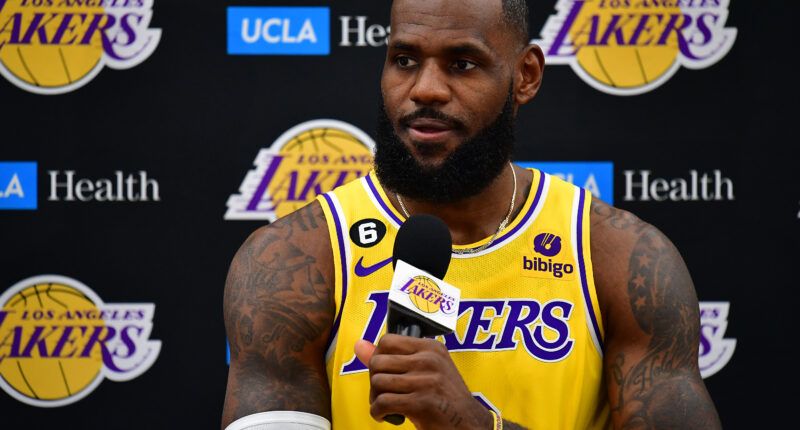 Lebron James Buys Major League Pickleball Team