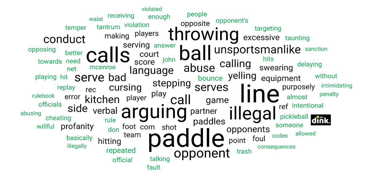 Pickleball Players Say: Rule Book Should Punish These  Violations
