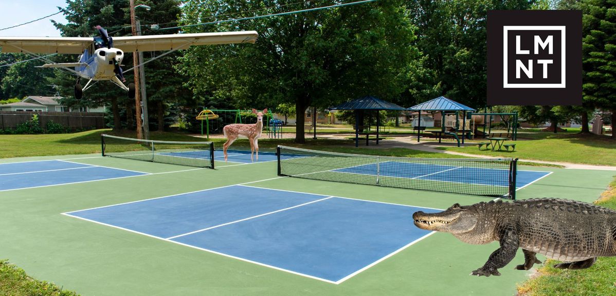Tales from the Court: Unusual Pickleball Stories